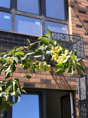 Купить 1-комнатную квартиру